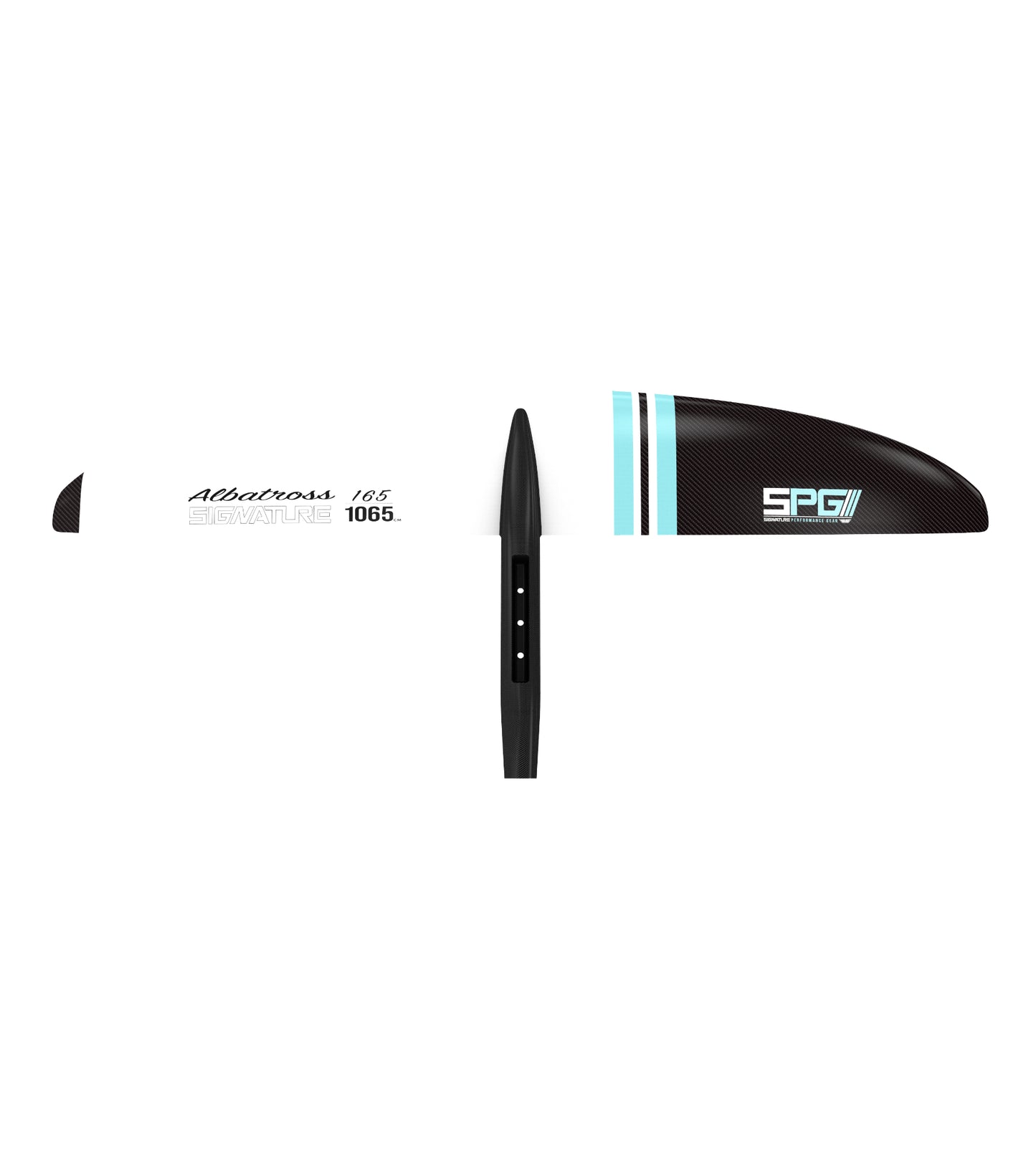 KOMPLETT SPG Albatross 165 /1065 FRONT WING Carbon Mast, Fuslage & Tail Wing