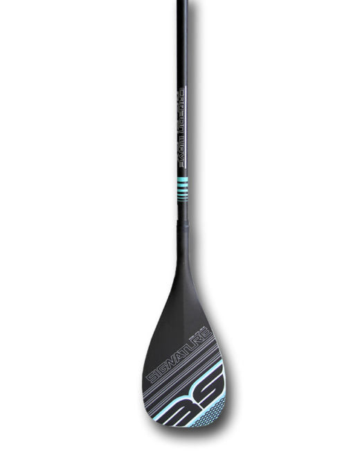 The RE-FLEX Paddle